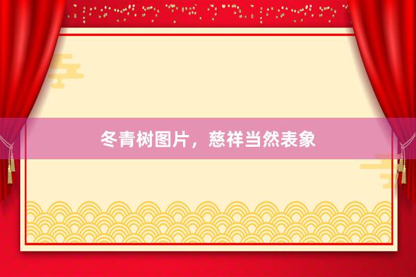 冬青树图片，慈祥当然表象