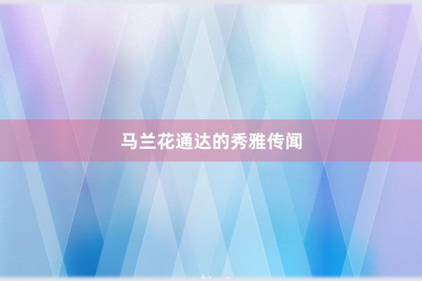 马兰花通达的秀雅传闻