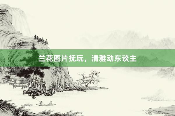 兰花图片抚玩，清雅动东谈主