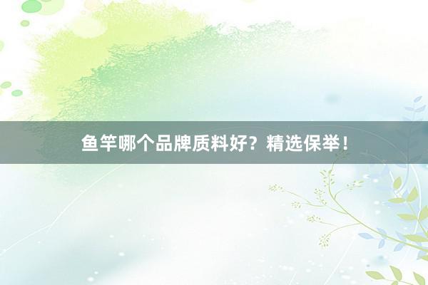 鱼竿哪个品牌质料好？精选保举！